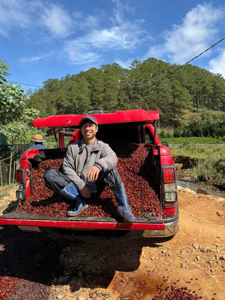 Chuyến xe đầy cherry chín mùa vụ